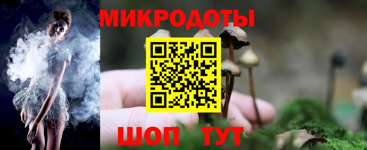 купить закладку  Вход с VPN  Дивногорск  Псилоцибиновые грибы мицелий 